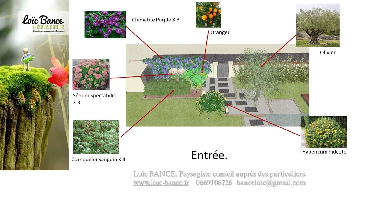 Paysagiste Biarritz plan et legende de plantation