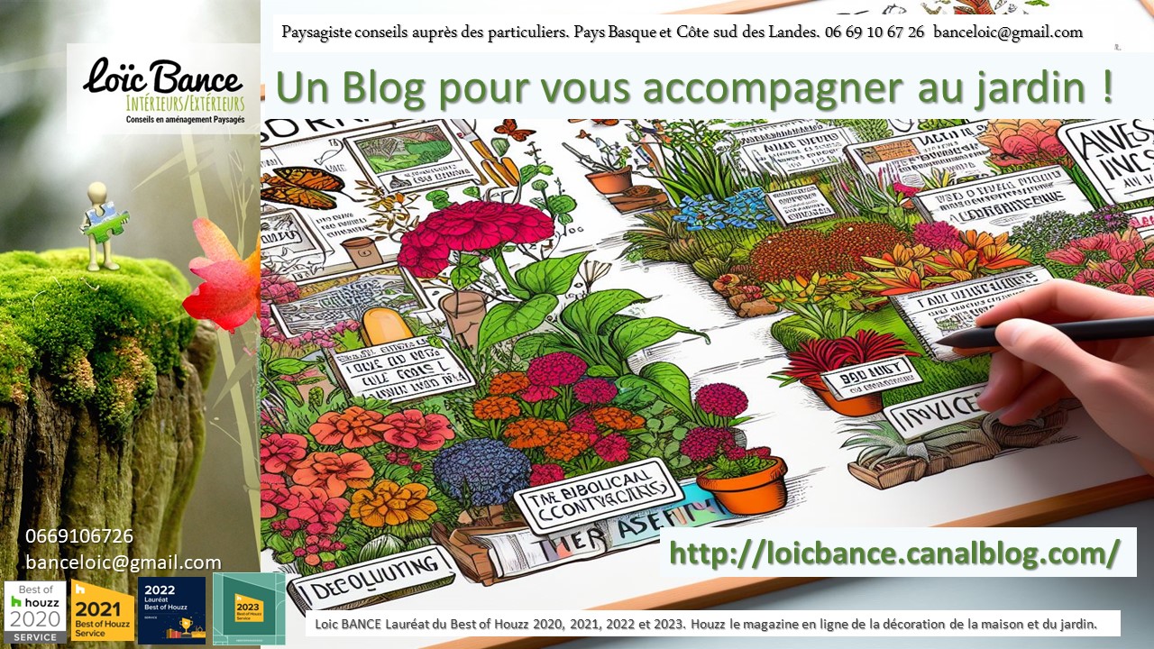 Le Blog du jardin de Paysagiste Biarritz