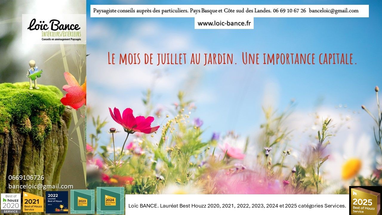 Paysagiste Landes; Pays Basque; Landes; Paysages; Paysagiste; Juillet; Jardins; Travaux; Ornemental; Potager; Fruitiers; mots; Anglet; Paysagiste Anglet; Arcangues; Paysagiste Arcangues; Biarritz; Paysagiste Biarritz; 