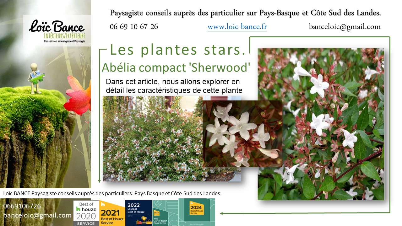 Paysagiste Pays Basque; Paysagiste Landes; Paysagiste conseil; Landes; Ahetze; Anglet; Arbonne; Arcangues; Bayonne; Biarritz; 
