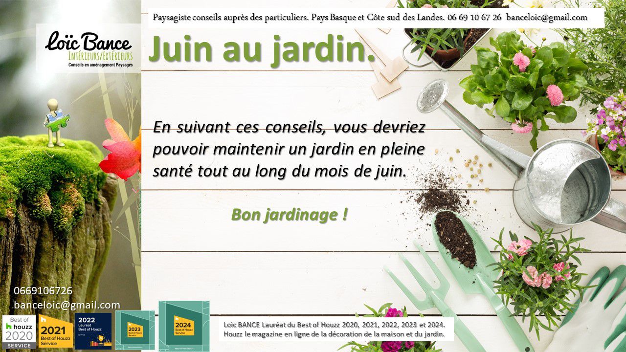 Juin; Jardins; Travaux; Potager; Verger; Fruitiers; Landes; Pays Basque; Paysagiste; Paysagiste Landes; Paysagiste Pays Basque; Loc BANCE; Paysagiste conseils aux particuliers; Concepteur de jardins; 