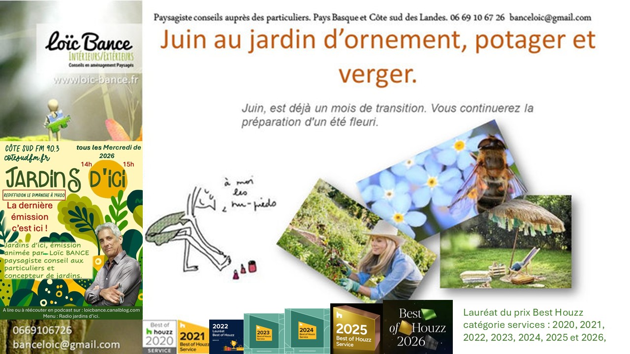 Les travaux de juin 2026 au jardin d'ornement, potager ou fruitier. Biarritz paysages