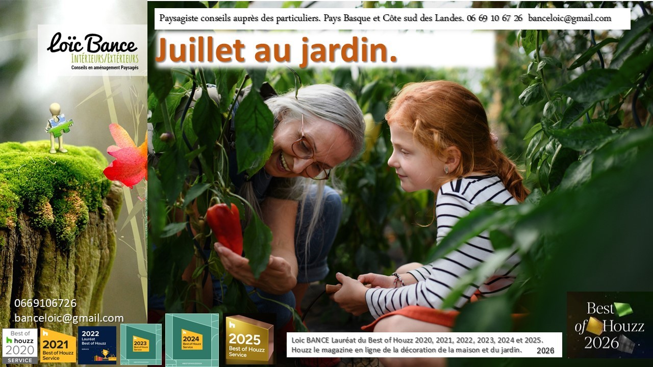 Biarritz paysage Juillet au jardin