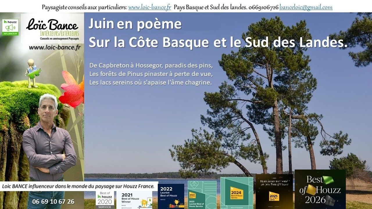 Juin en po�me sur la C�te Basco-Landaise. Biarritz paysages